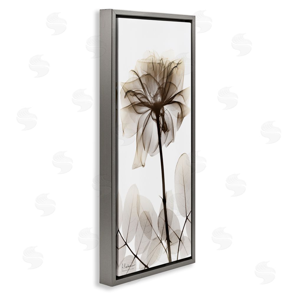 Albert Koetsier Blooming Opaque Flower