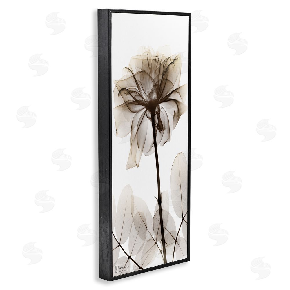 Albert Koetsier Blooming Opaque Flower