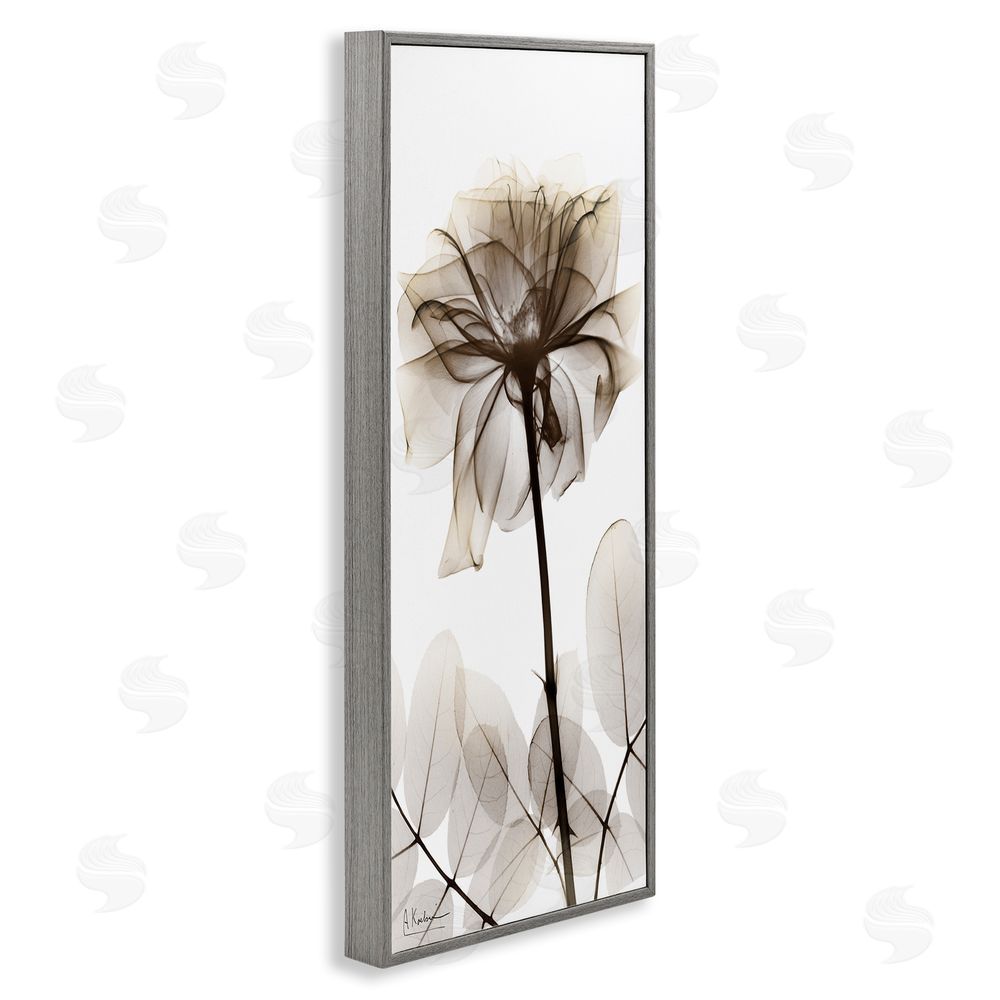 Albert Koetsier Blooming Opaque Flower