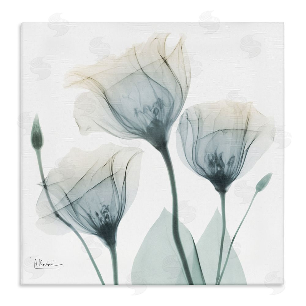 Albert Koetsier Soft Opaque Tulips Canvas Wall Art Print