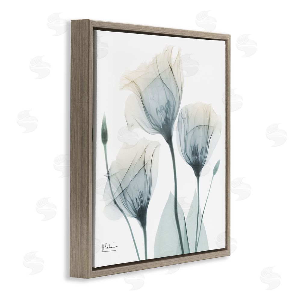 Albert Koetsier Soft Opaque Tulips Brown Floating Frame Canvas Wall Art Print