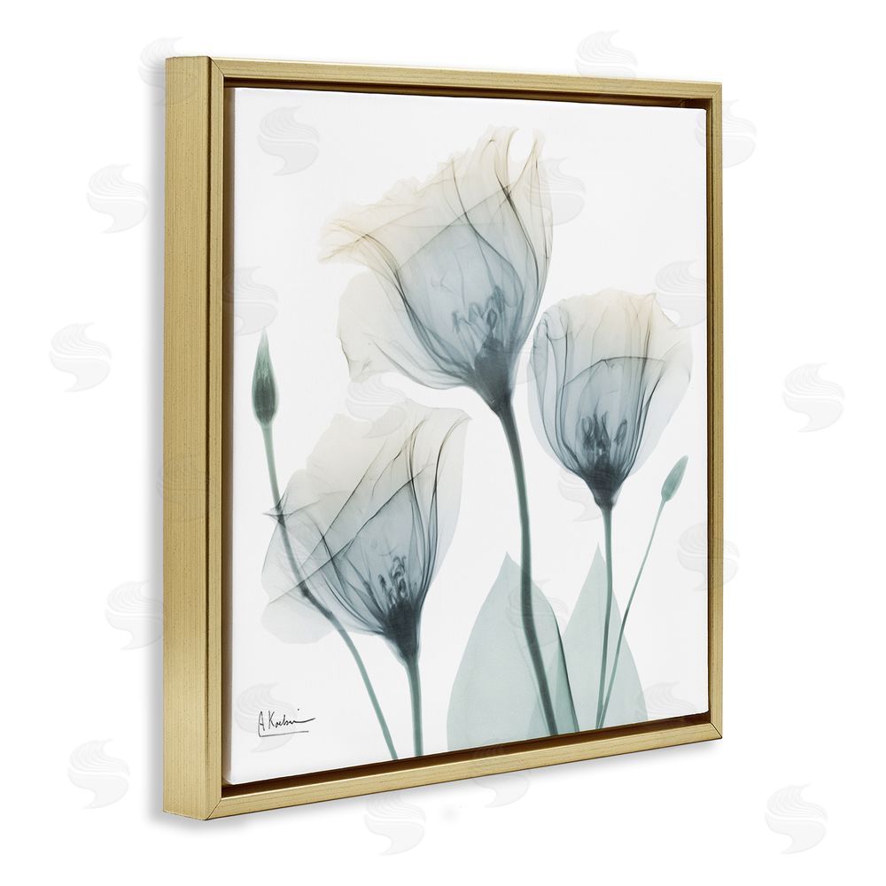 Albert Koetsier Soft Opaque Tulips Gold Floating Frame Canvas Wall Art Print