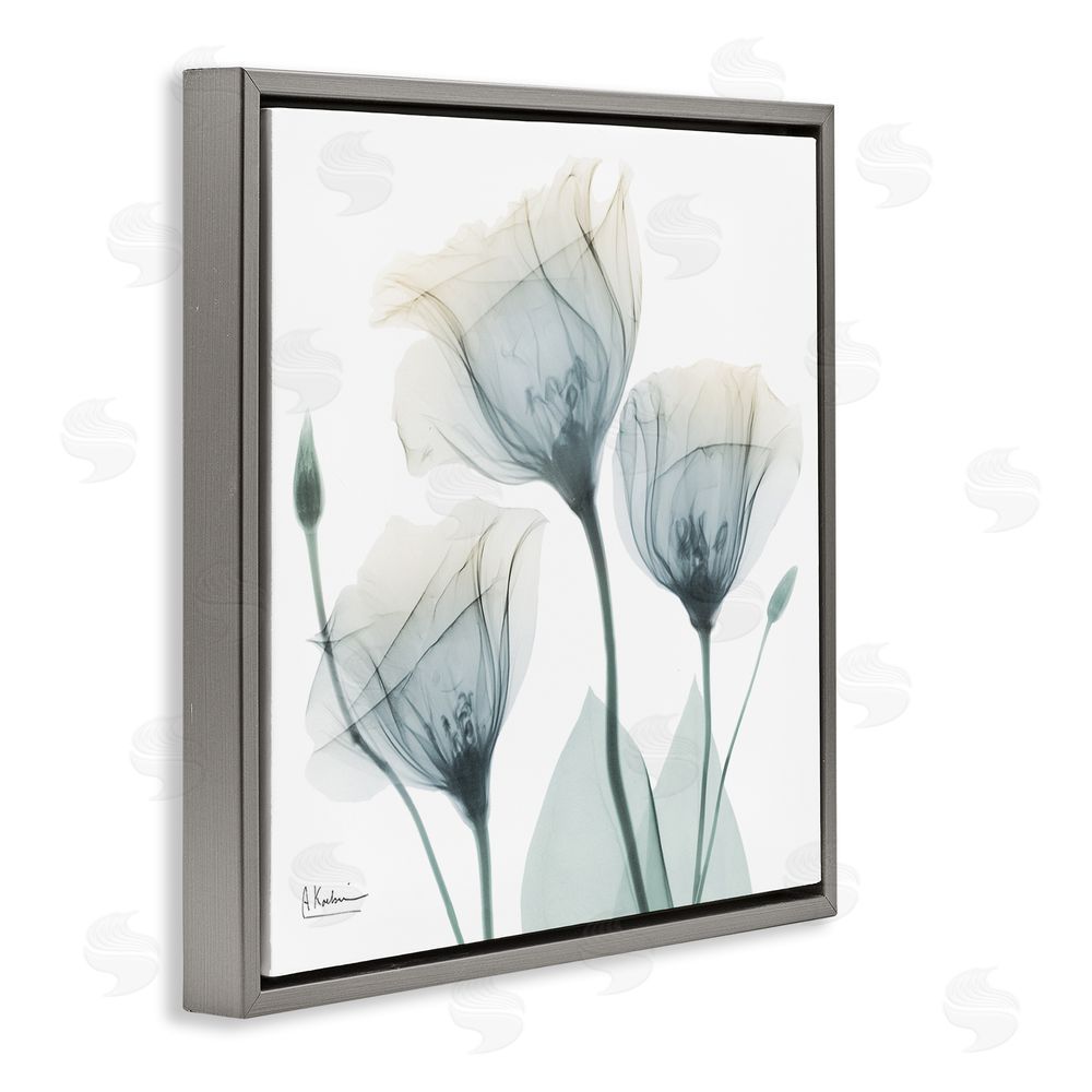 Albert Koetsier Soft Opaque Tulips Gray Floating Frame Canvas Wall Art Print