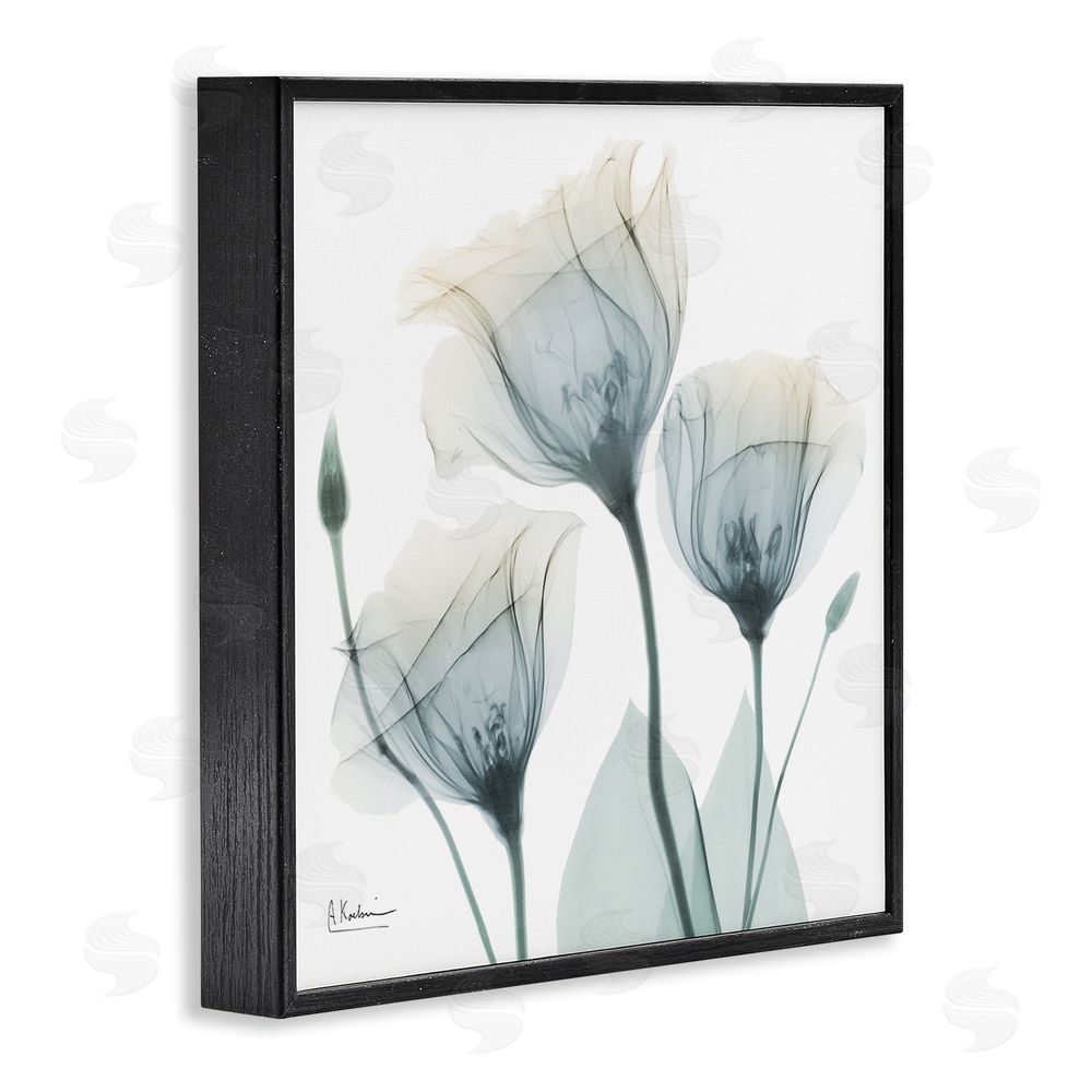 Albert Koetsier Soft Opaque Tulips Black Framed Giclee Wall Art Print