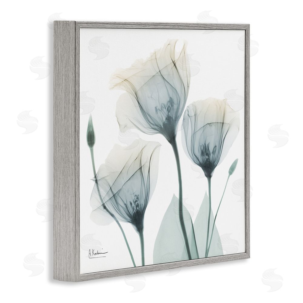 Albert Koetsier Soft Opaque Tulips Gray Framed Giclee Wall Art Print