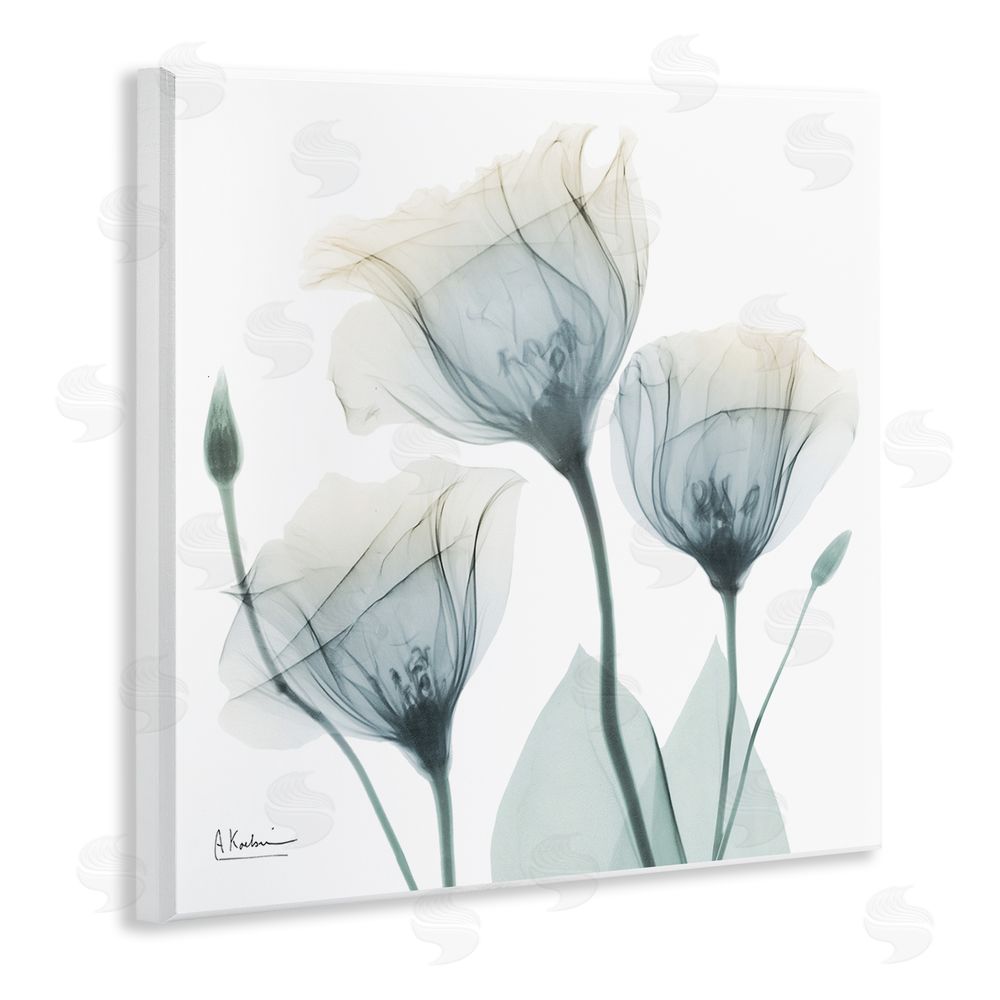 Albert Koetsier Soft Opaque Tulips Wooden Wall Plaque Art Print