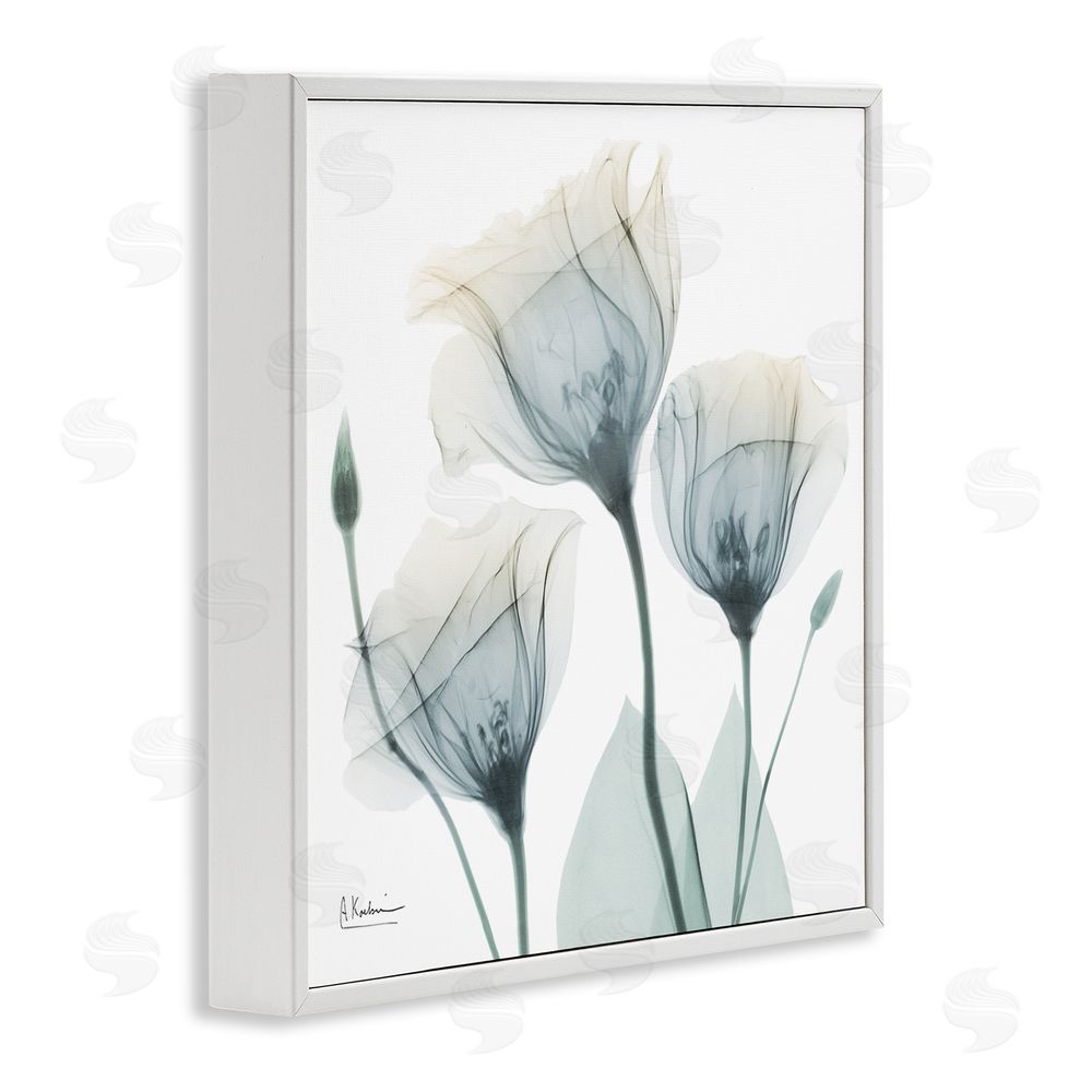 Albert Koetsier Soft Opaque Tulips White Framed Giclee Wall Art Print