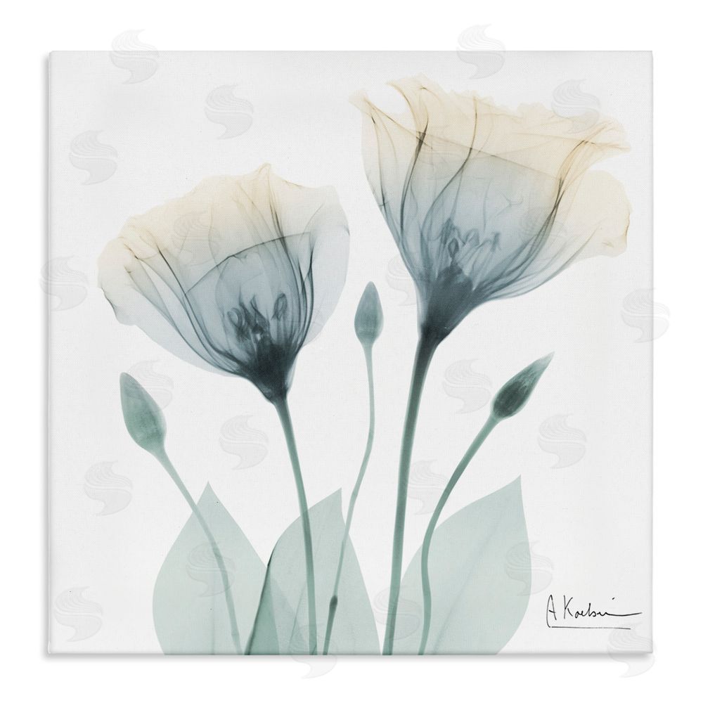 Albert Koetsier Opaque Tulip Duo Canvas Wall Art Print