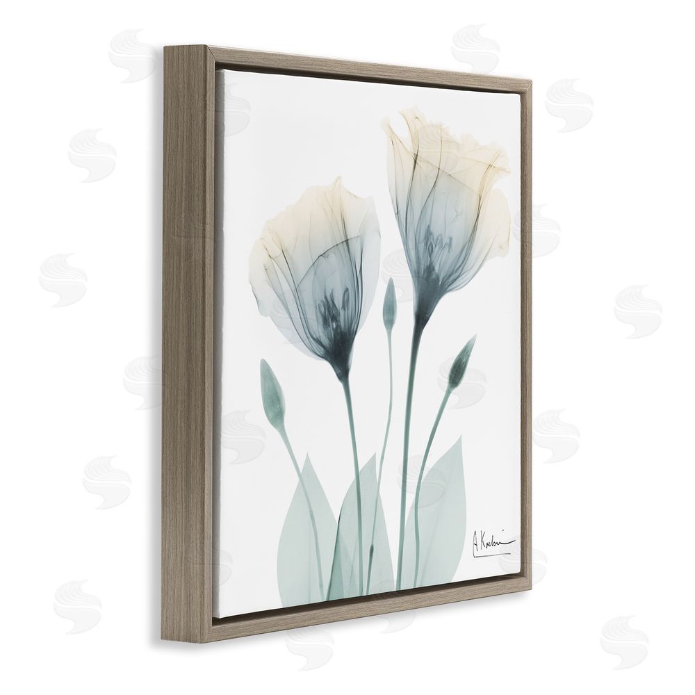 Albert Koetsier Opaque Tulip Duo Brown Floating Frame Canvas Wall Art Print