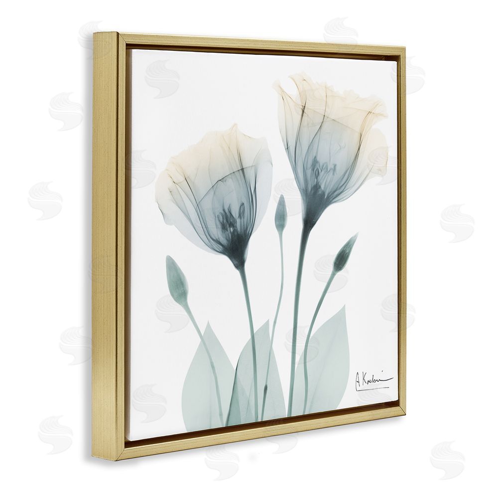 Albert Koetsier Opaque Tulip Duo Gold Floating Frame Canvas Wall Art Print