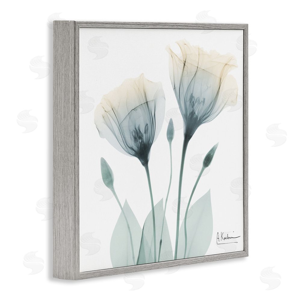 Albert Koetsier Opaque Tulip Duo Gray Framed Giclee Wall Art Print