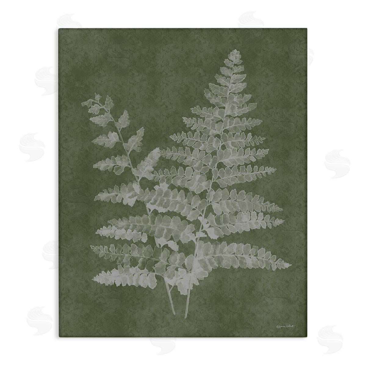 Annie LaPoint Green Rustic Ferns Canvas Wall Art Print