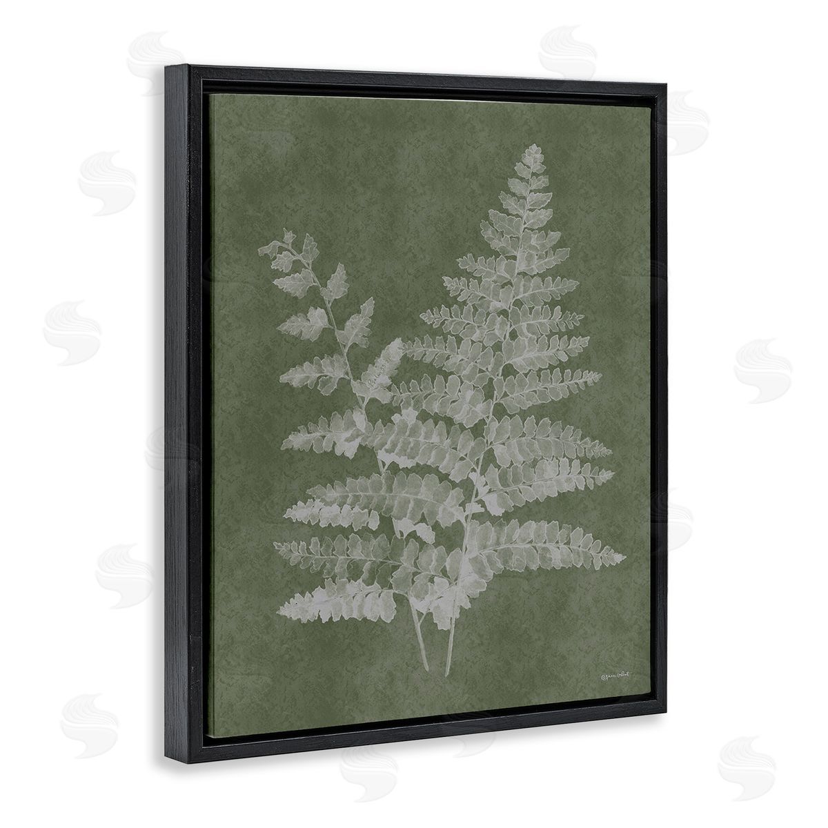 Annie LaPoint Green Rustic Ferns Black Floating Frame Canvas Wall Art Print