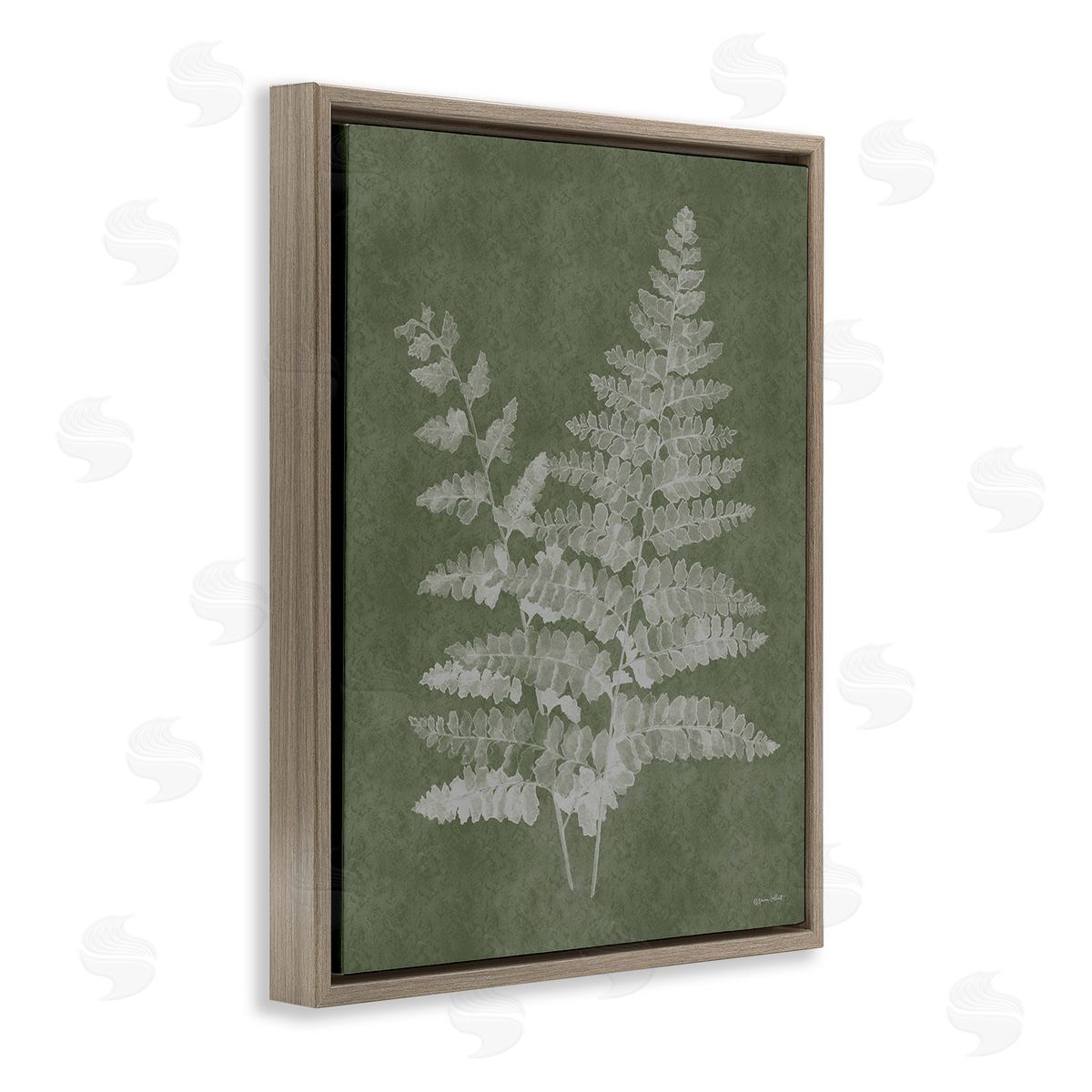 Annie LaPoint Green Rustic Ferns Brown Floating Frame Canvas Wall Art Print