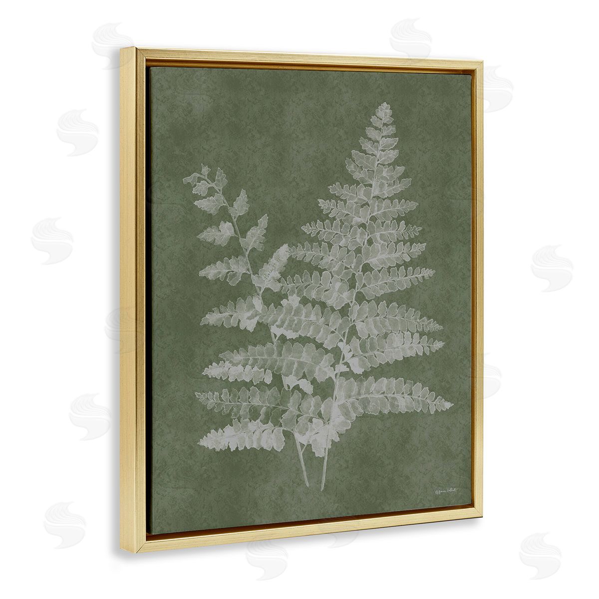 Annie LaPoint Green Rustic Ferns Gold Floating Frame Canvas Wall Art Print