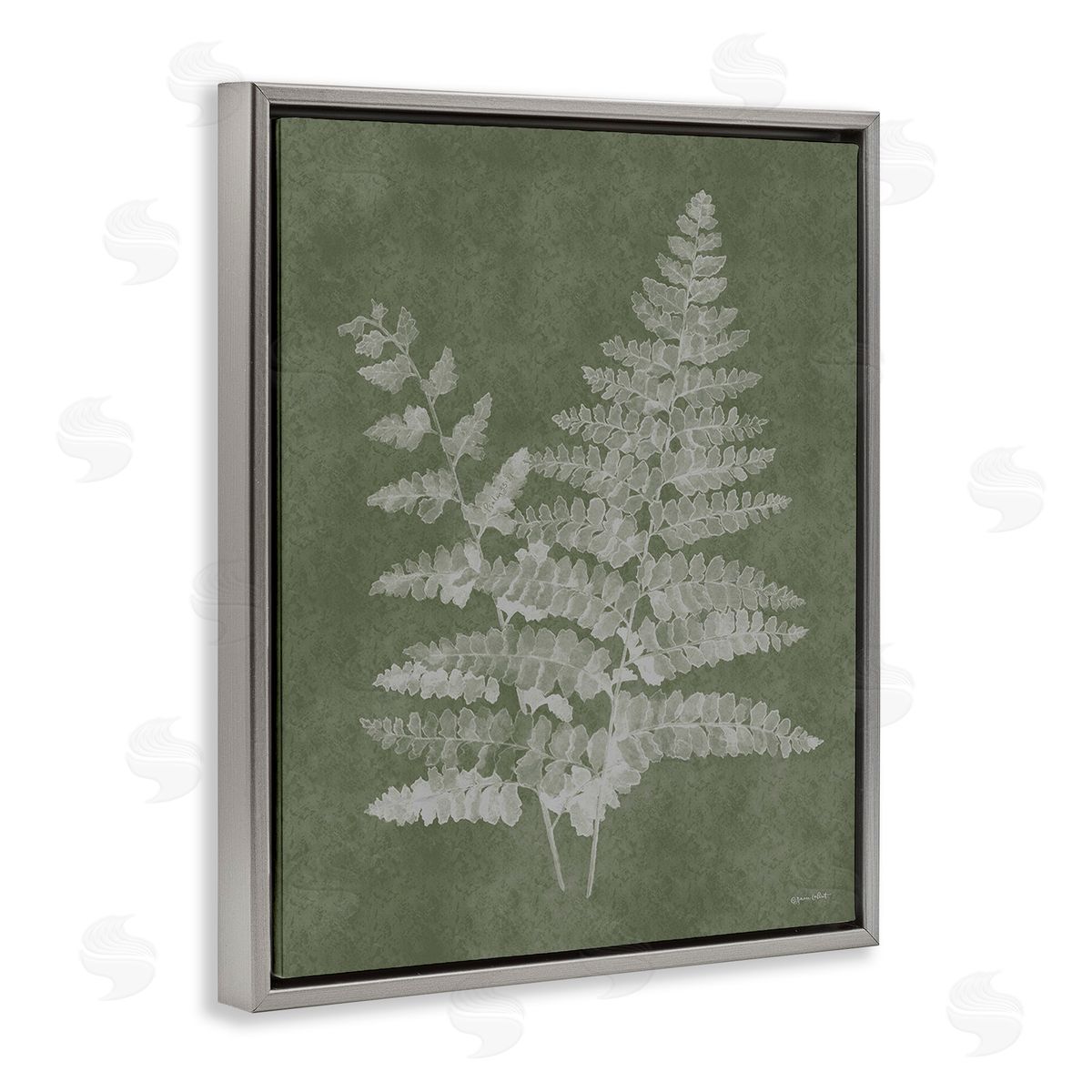 Annie LaPoint Green Rustic Ferns Gray Floating Frame Canvas Wall Art Print