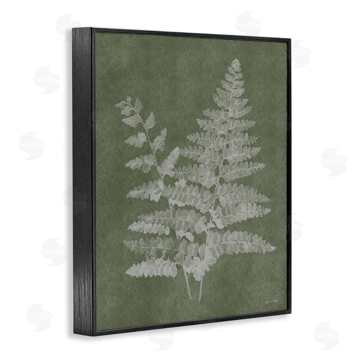Annie LaPoint Green Rustic Ferns Black Framed Giclee Wall Art Print