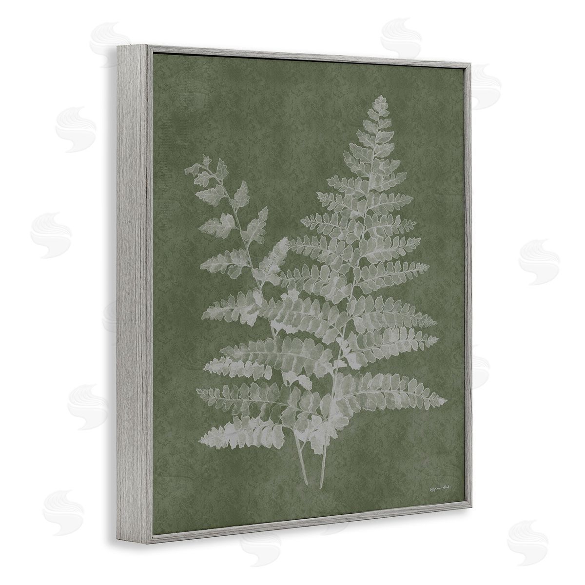 Annie LaPoint Green Rustic Ferns Gray Framed Giclee Wall Art Print