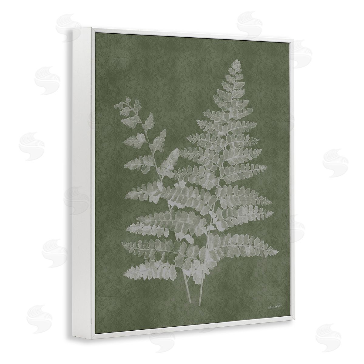 Annie LaPoint Green Rustic Ferns White Framed Giclee Wall Art Print