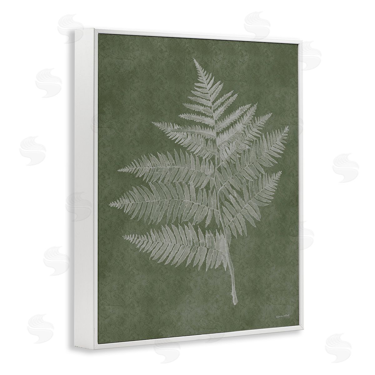 Annie LaPoint Asymmetrical Fern Plant White Framed Giclee Wall Art Print