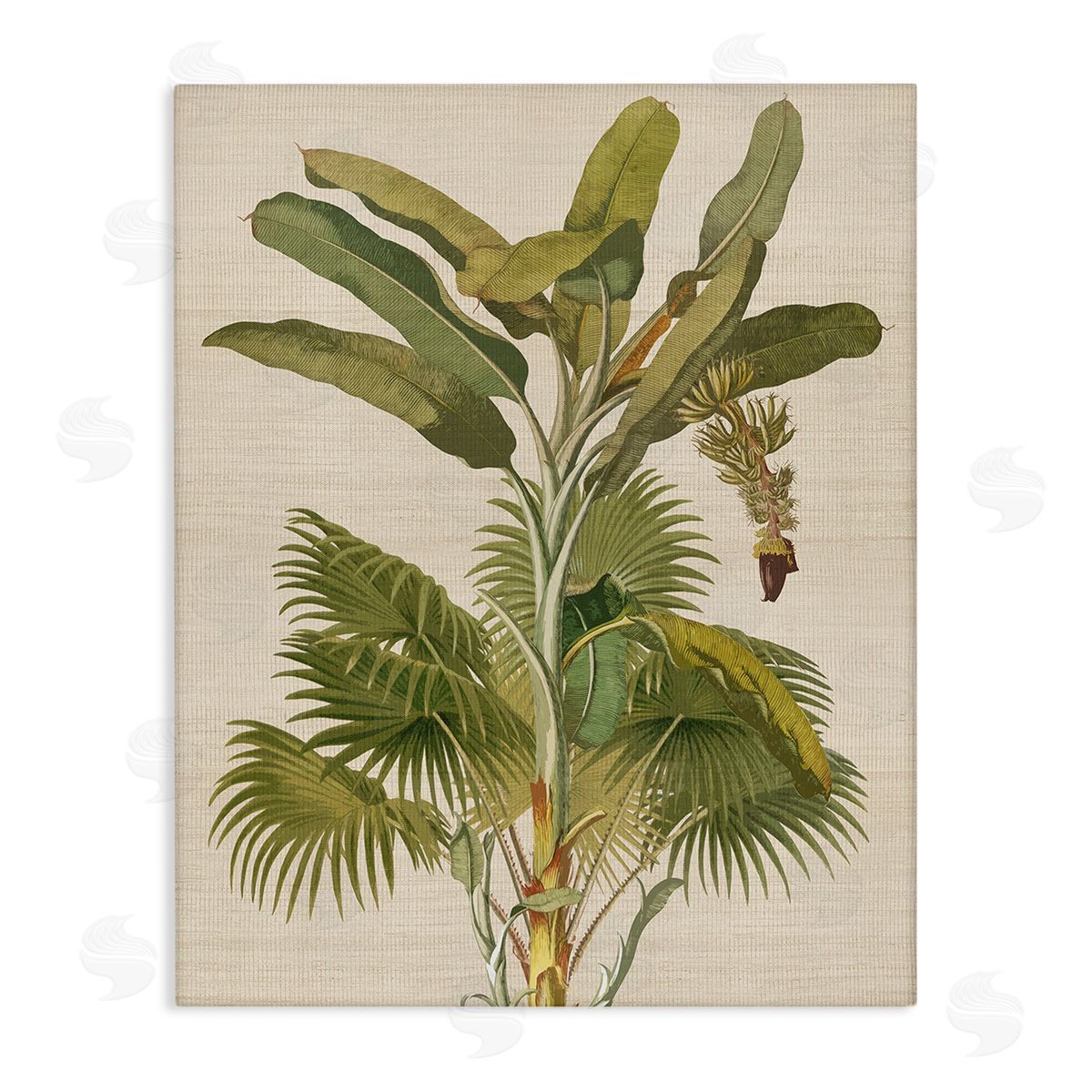 Amber Sterling Vintage Tropical Plant Canvas Wall Art Print