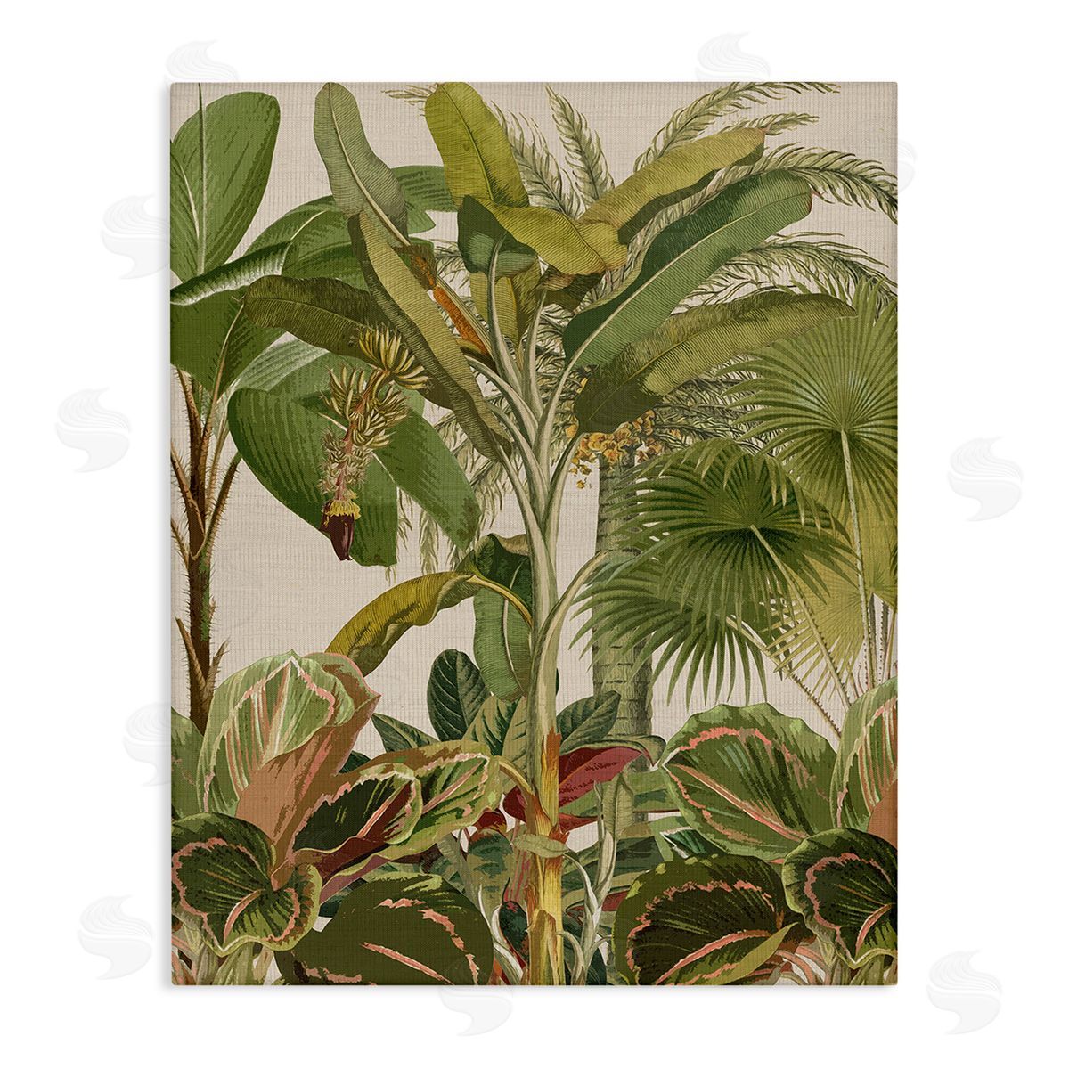 Amber Sterling Tropical Jungle Vegetation Canvas Wall Art Print