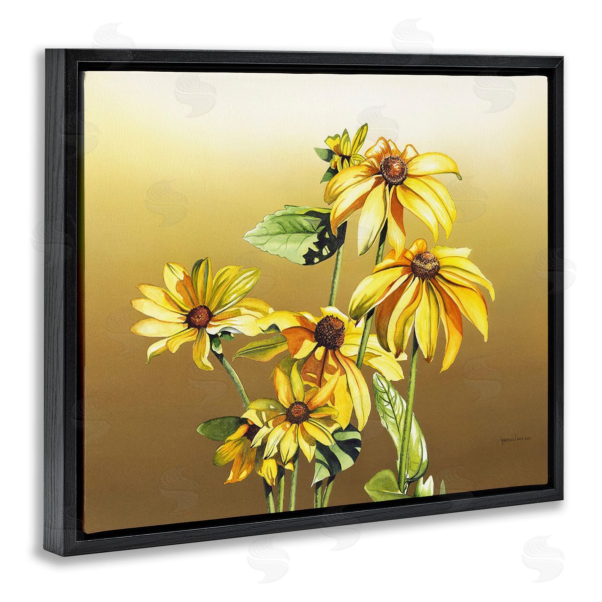 Christine Reichow Drooping Daisy Petals Black Floating Frame Canvas Wall Art Print