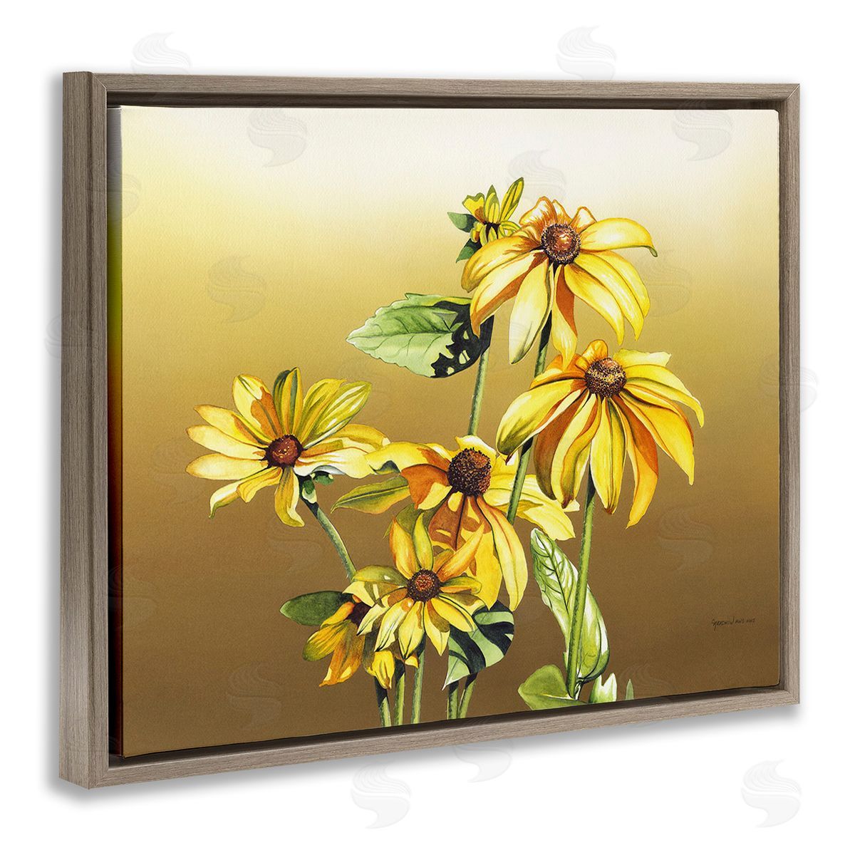 Christine Reichow Drooping Daisy Petals Brown Floating Frame Canvas Wall Art Print