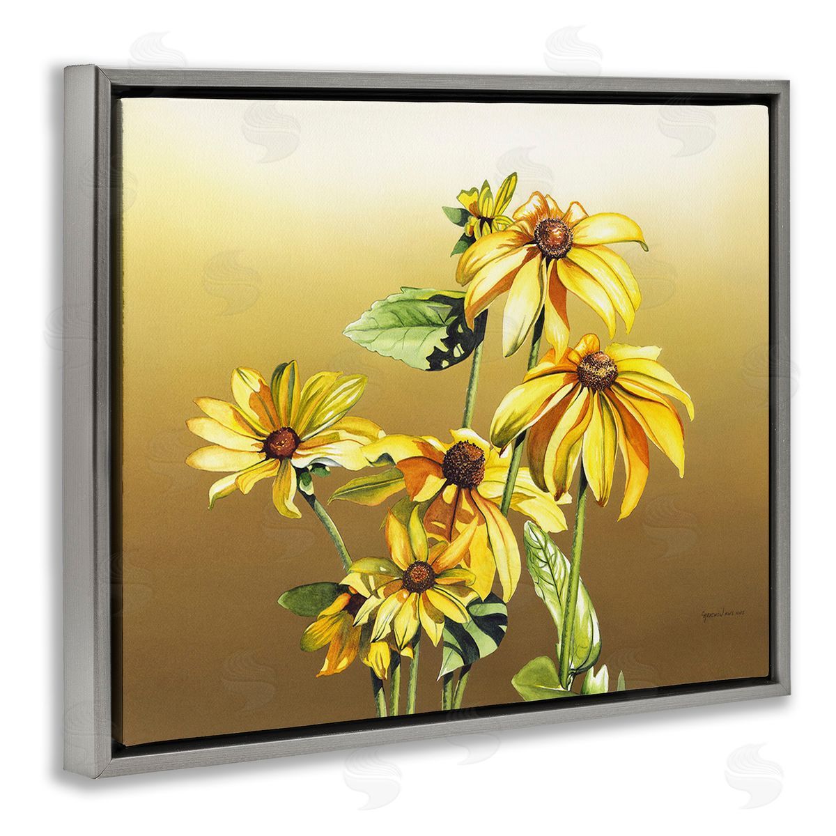 Christine Reichow Drooping Daisy Petals Gray Floating Frame Canvas Wall Art Print