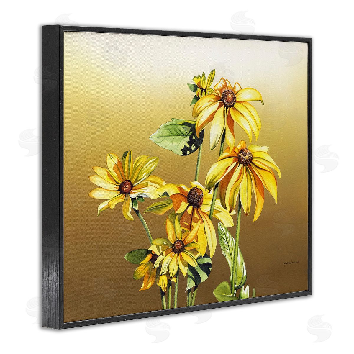 Christine Reichow Drooping Daisy Petals Black Framed Giclee Wall Art Print
