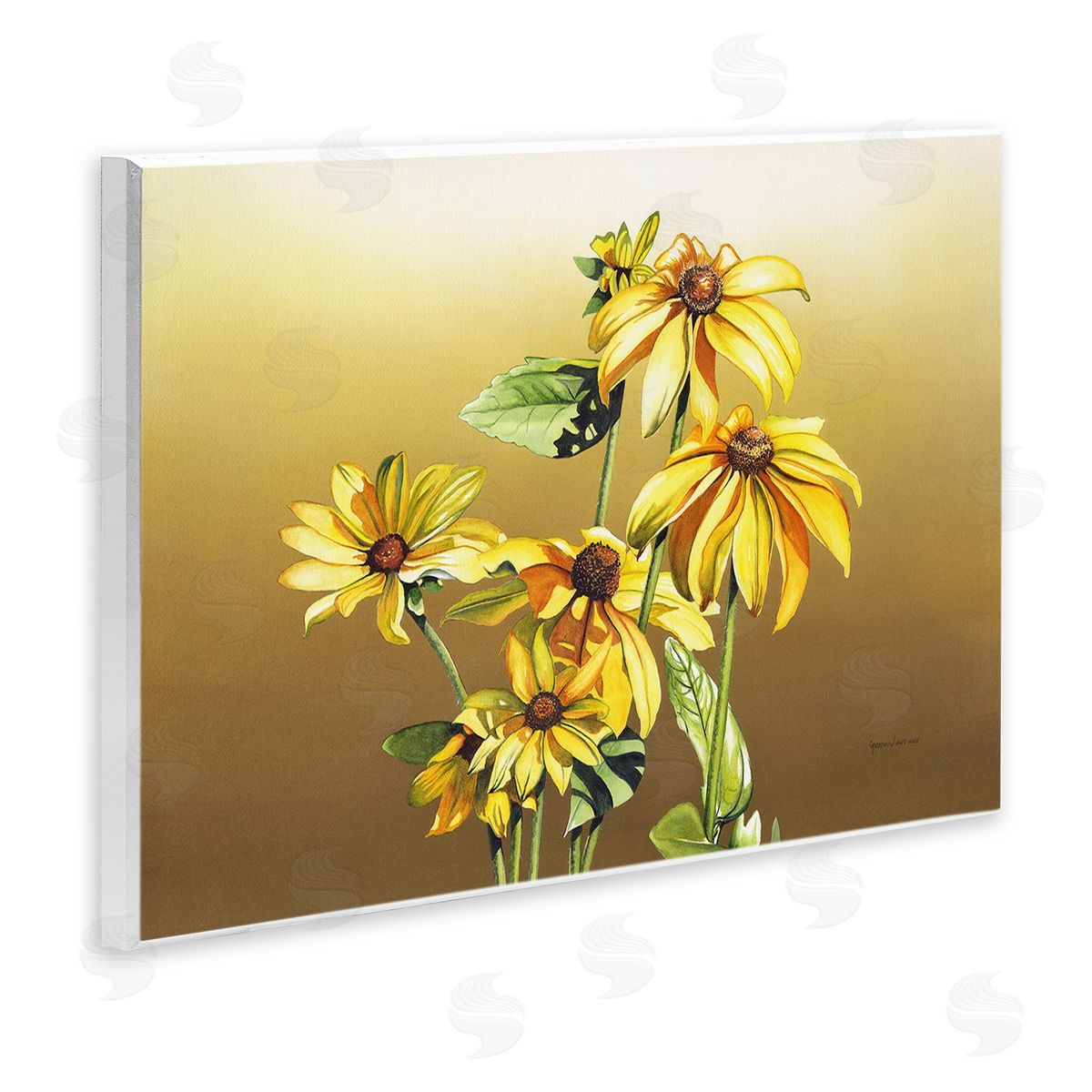 Christine Reichow Drooping Daisy Petals Wooden Wall Plaque Art Print