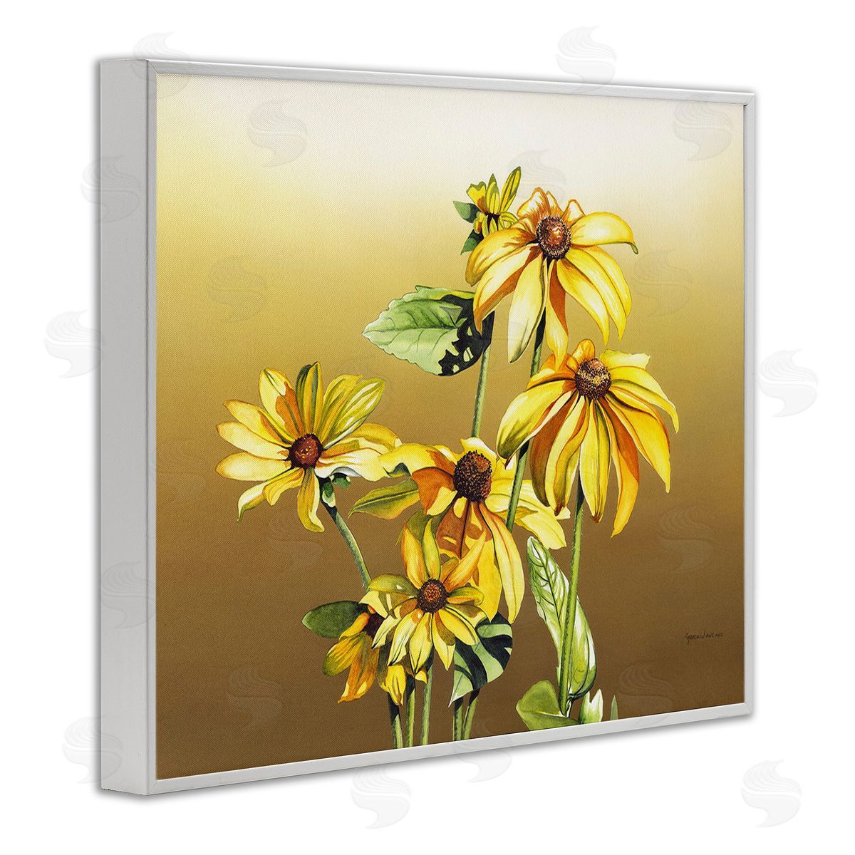 Christine Reichow Drooping Daisy Petals White Framed Giclee Wall Art Print