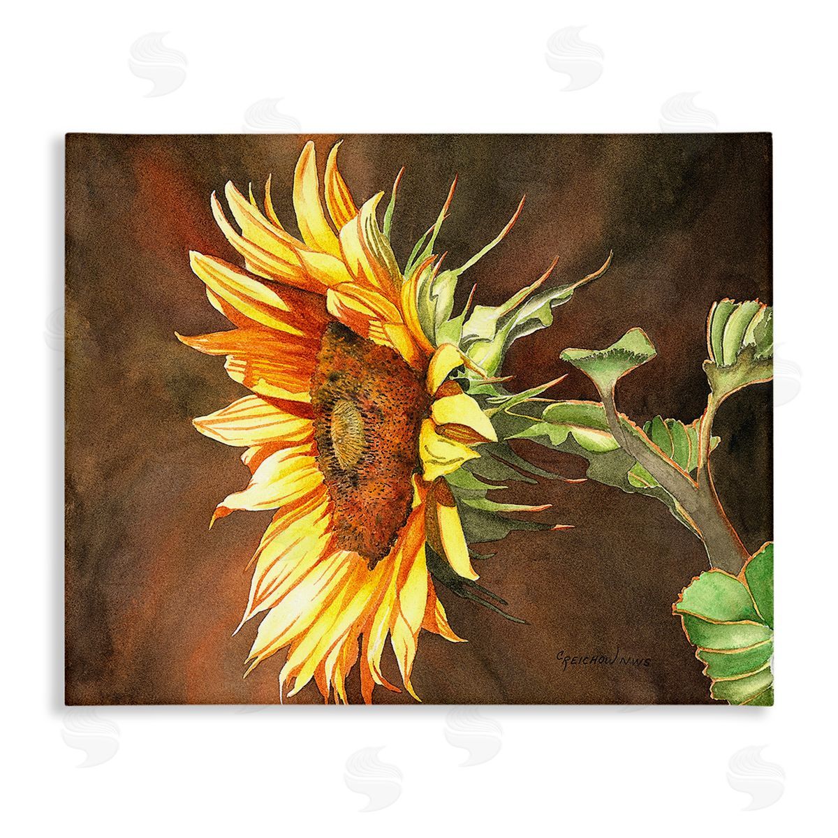 Christine Reichow Sunflower with Vivid Light Canvas Wall Art Print