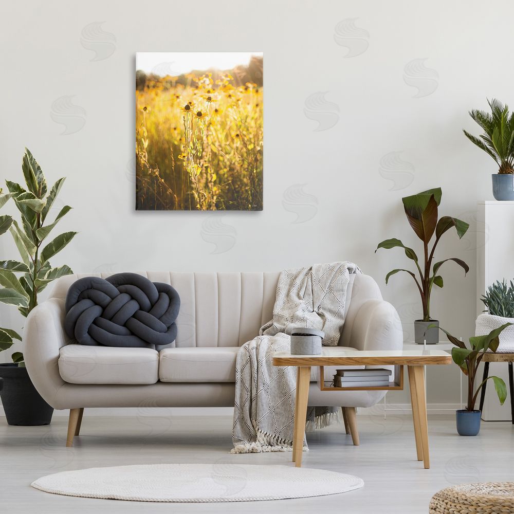 Donnie Quillen Sunlit Daisy Meadow Canvas Wall Art Print in Room