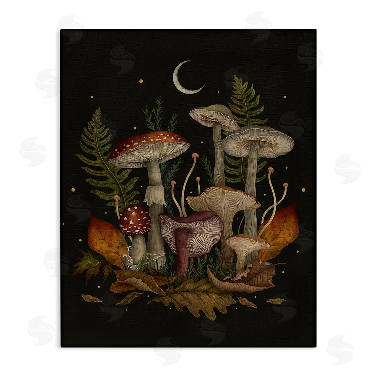 Episodic Drawings Dark Mushrooms with Moon Canvas Wall Art Print