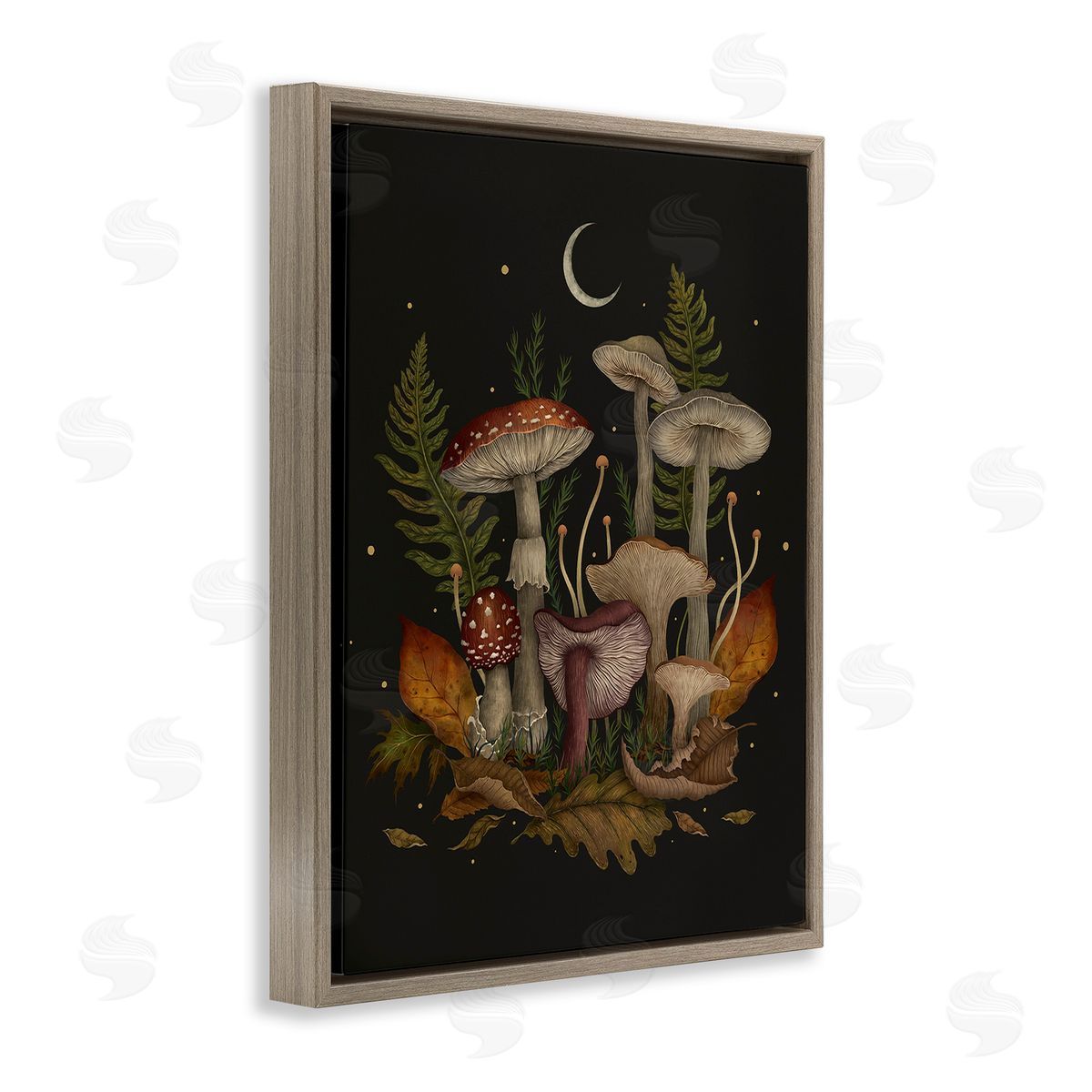 Episodic Drawings Dark Mushrooms with Moon Brown Floating Frame Canvas Wall Art Print