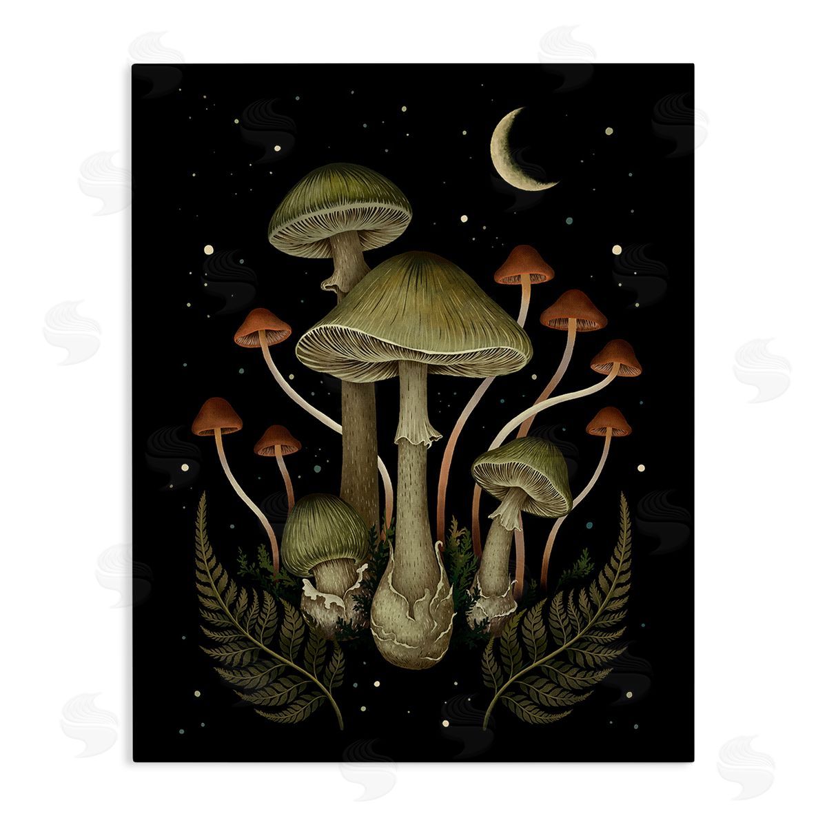 Episodic Drawings Night Mushrooms & Ferns Canvas Wall Art Print