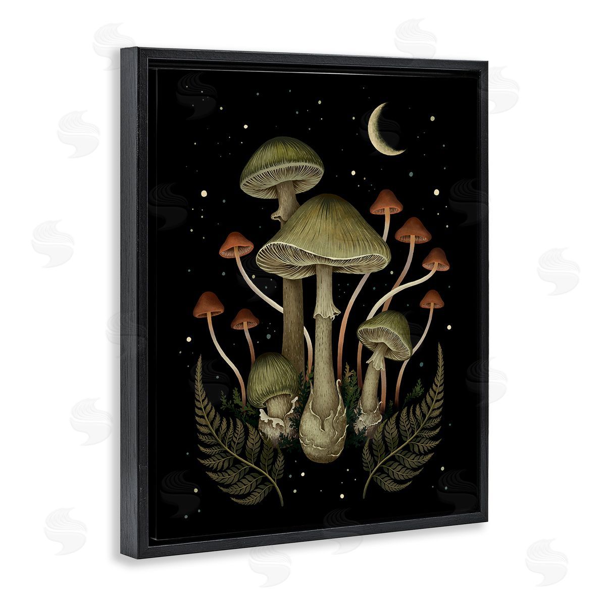Episodic Drawings Night Mushrooms & Ferns Black Floating Frame Canvas Wall Art Print