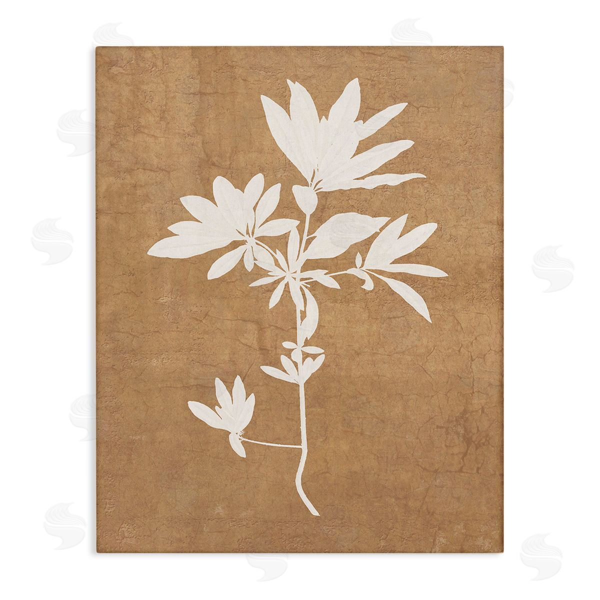 Graffitee Studios Rustic Botanical Shape Canvas Wall Art Print