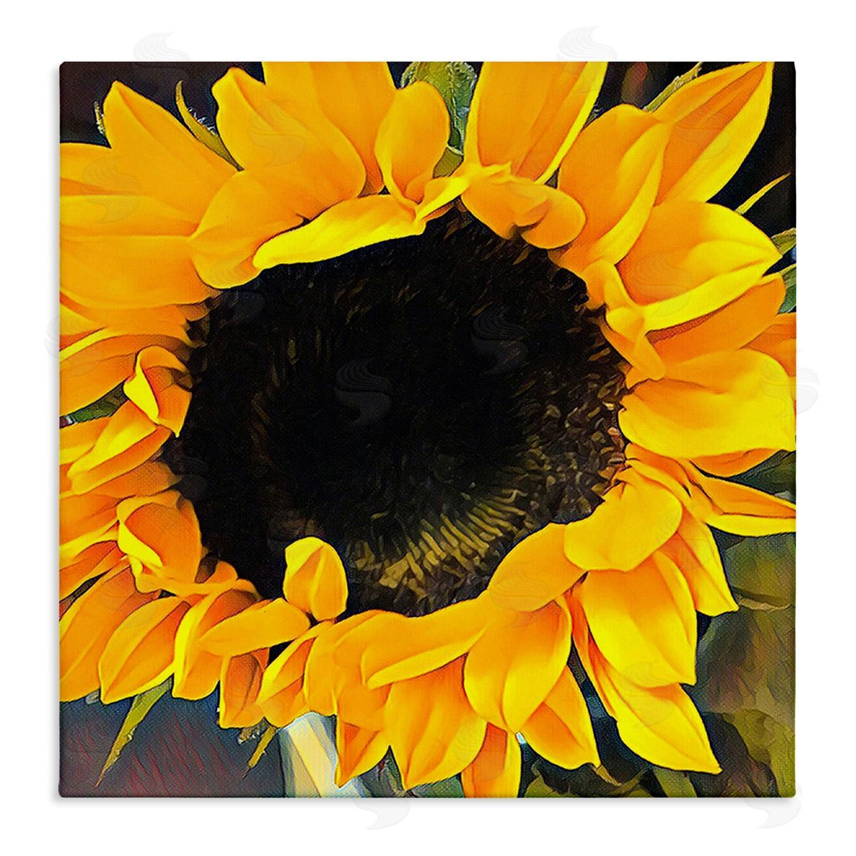 Jessica Manelis Vivid Yellow Sunflower Canvas Wall Art Print
