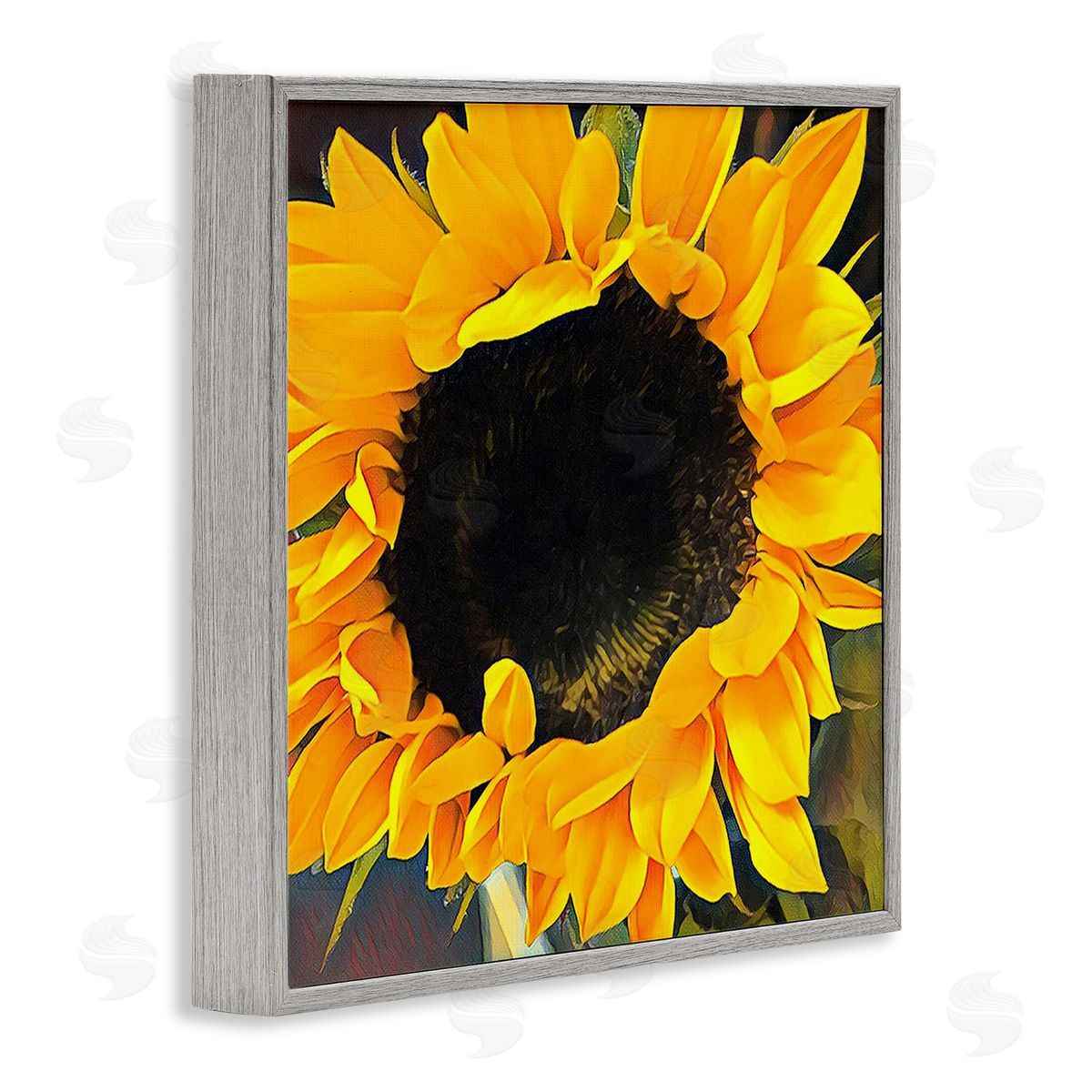 Jessica Manelis Vivid Yellow Sunflower Gray Framed Giclee Wall Art Print