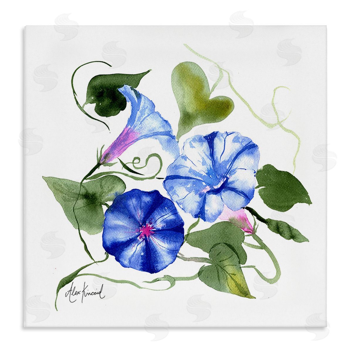 Alexandria Gilbert Kincaid Minimal Morning Glories Canvas Wall Art Print