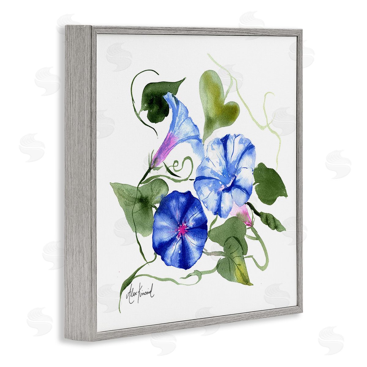 Alexandria Gilbert Kincaid Minimal Morning Glories Gray Framed Giclee Wall Art Print