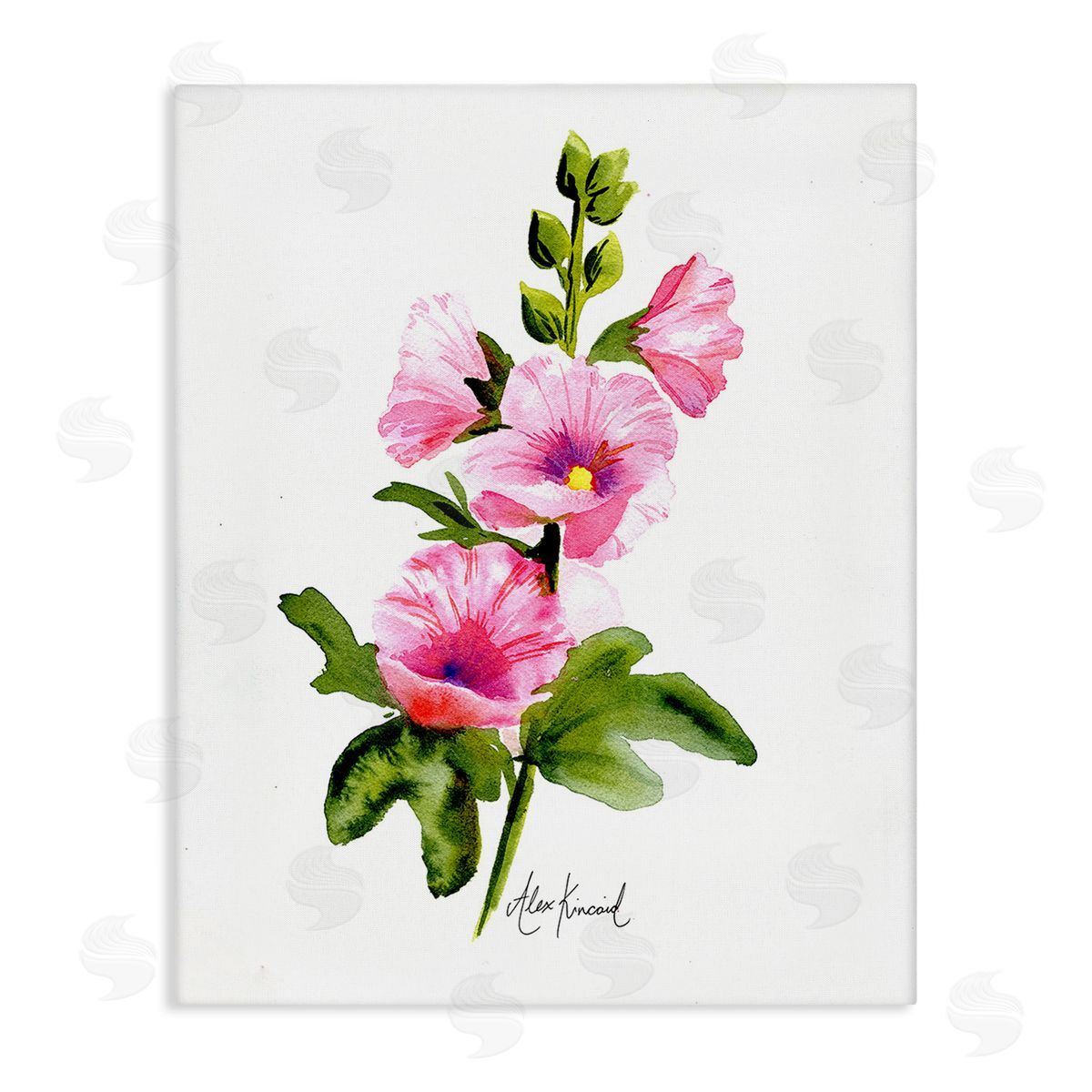 Alexandria Gilbert Kincaid Pink Hollyhock Blooms Canvas Wall Art Print