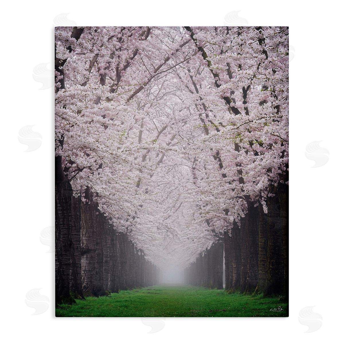 Martin Podt Cherry Blossom Grove Canvas Wall Art Print
