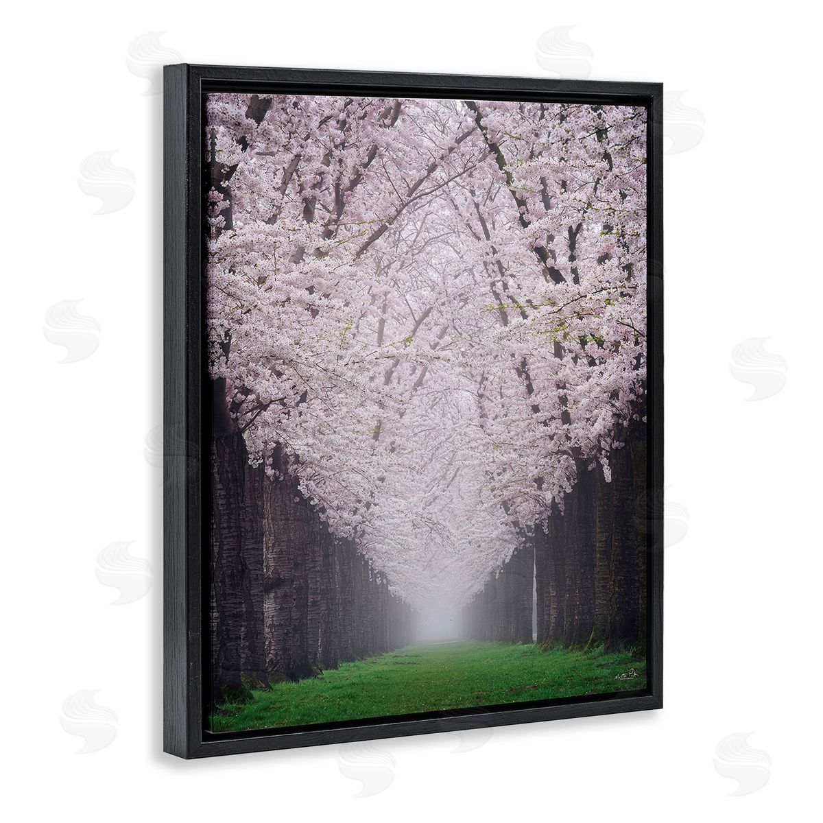 Martin Podt Cherry Blossom Grove Black Floating Frame Canvas Wall Art Print