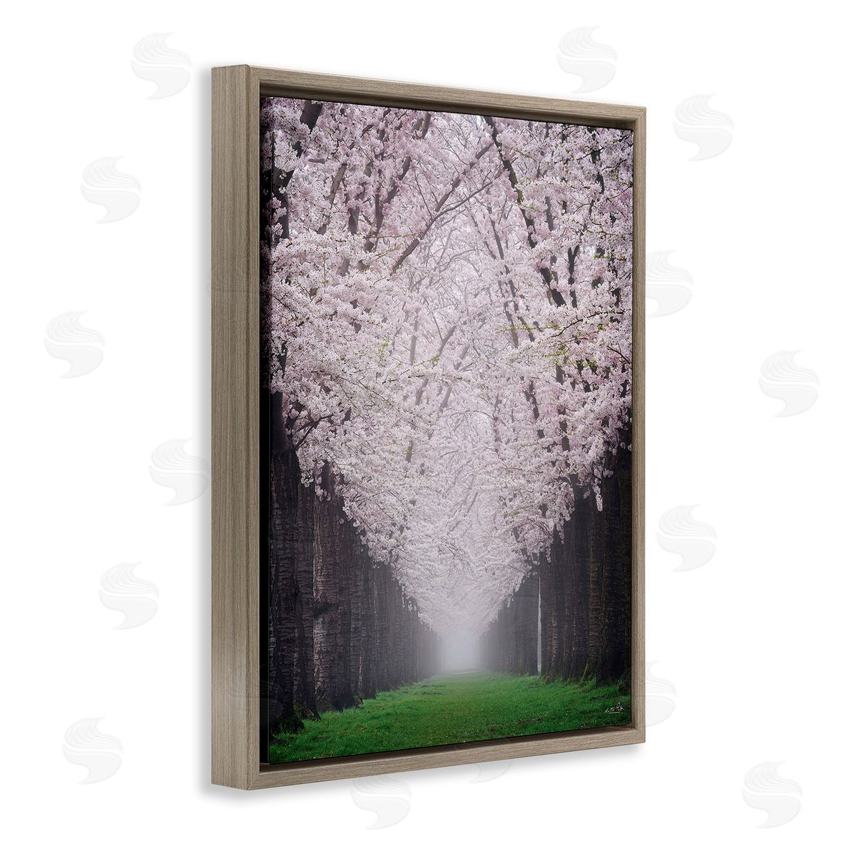 Martin Podt Cherry Blossom Grove Brown Floating Frame Canvas Wall Art Print