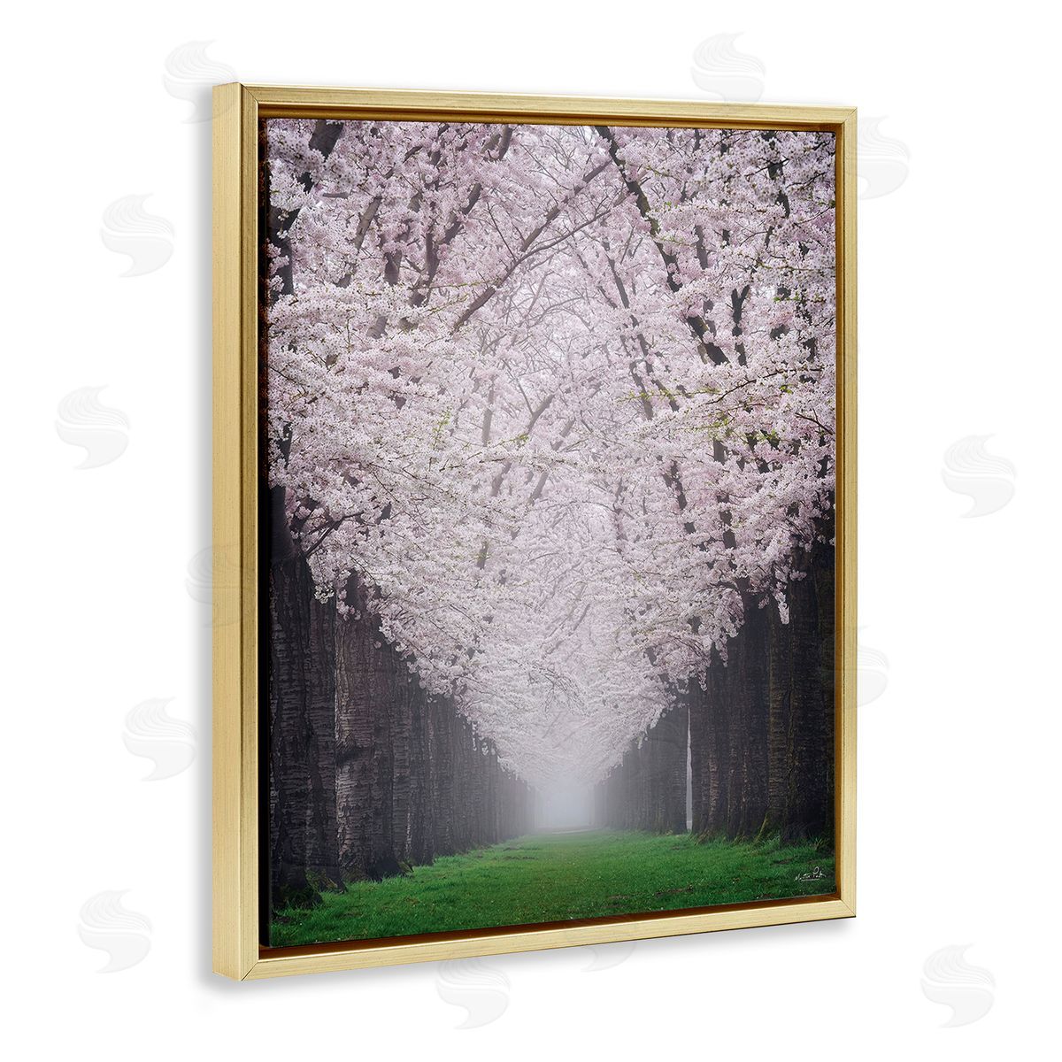 Martin Podt Cherry Blossom Grove Gold Floating Frame Canvas Wall Art Print