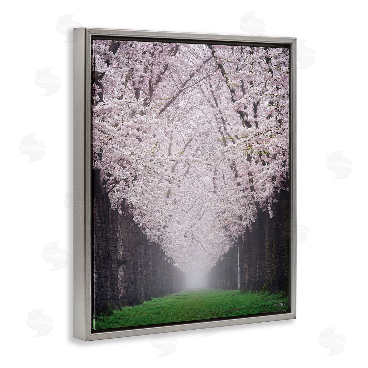 Martin Podt Cherry Blossom Grove Gray Floating Frame Canvas Wall Art Print