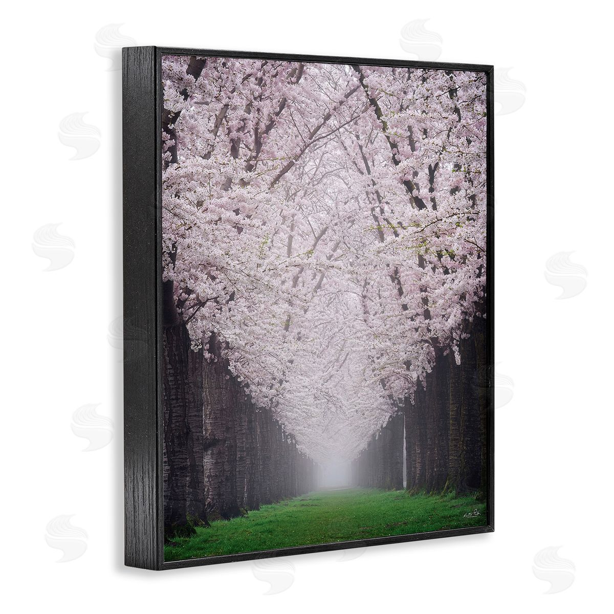 Martin Podt Cherry Blossom Grove Black Framed Giclee Wall Art Print